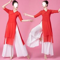 [COD] Classical dance practice clothes double-layer slit adult female elegant suit Chinese style body rhyme gauze performance costume