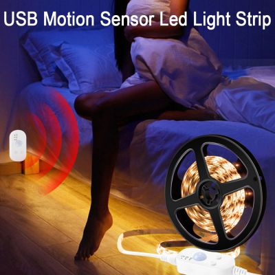 PIR LED Motion Sensor Light Strip USB Powered Cupboard Wardrobe Bed Lamp LED Under Cabinet Night Light For Closet Stairs Kitchen Night Lights