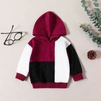 2023 Fall Boys Raglan Hoodies Toddler Boys Autumn Longt Sleeve Color Block Hooded Tops Sweater