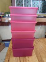 Tupperware กล่องเฟชแอนด์คูล (6)