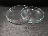 Plate แก้วแบบช่องเดียว ขนาด 15*100 mm. (ขนาดใหญ่)