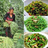 Ready Stock 50ชิ้น/แพ็ค Long Bean Seeds - คุณค่าทางโภชนาการที่ดีต่อสุขภาพและสูง คุณค่าทางโภชนาการที่ดีต่อสุขภาพและสูง เมล็ดพันธุ์ผัก อุปกรการเกษตร ผักสวนครัว ไม้ประดับ พันธุ์ไม้ผล Plants - Vegetable Seeds for Gardening - ปลูกง่าย ปลูกได้ทั่วไทย