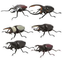 เครื่องประดับเก็บ Bandai จุดด้วงแมลงจำลอง Allomyrina Dichotoma Goliath Beetles สัตว์และแมลง