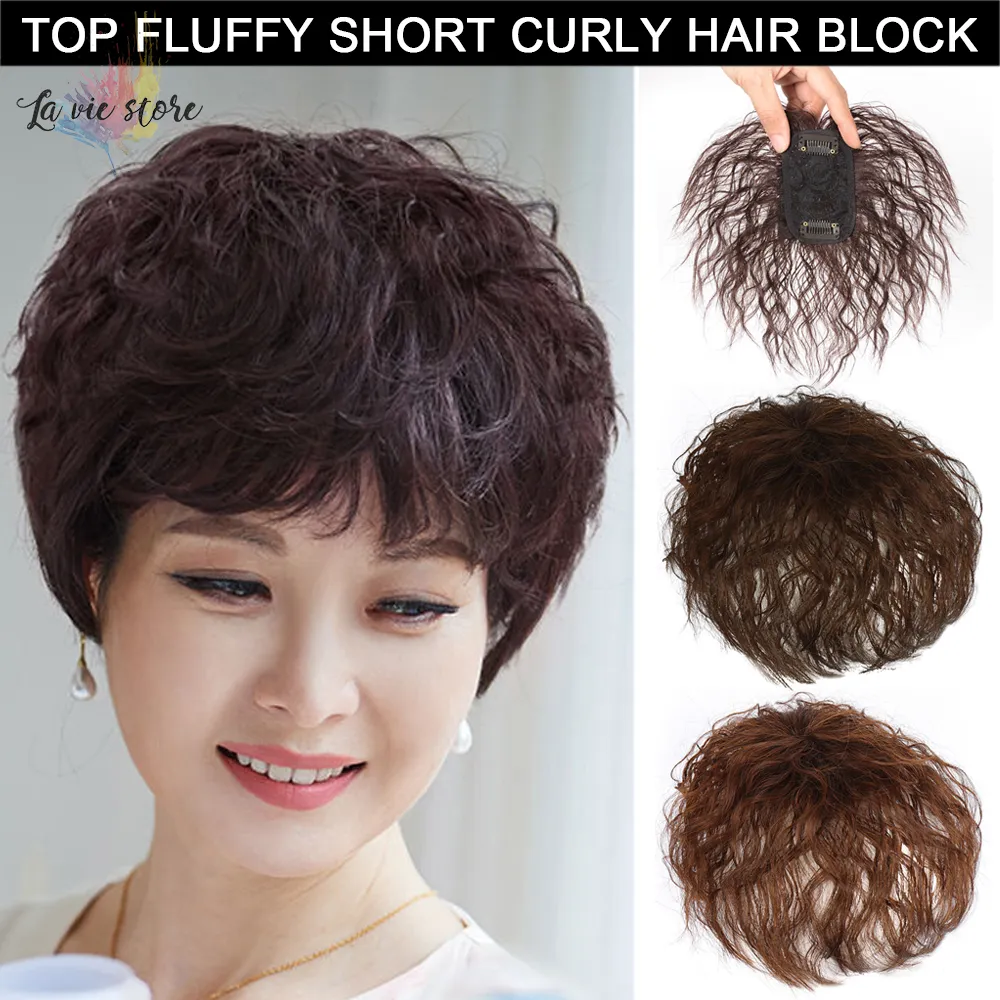 La vis] Short Curly Hair Top Wig Piece Ladies Fluffy Simulation Wig Piece  for Middle-Age Hair Pieces For Women Natural Seamless Fake Hair Piece  Personalized Hair Accessories Natural Wig Piece Women Styling
