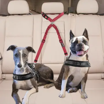 New Solid Two-in-one Pet Car Seat Belt Dog Harness Leash BackSeat