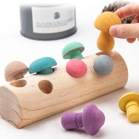 Wooden Mushroom Picking Game Rainbow Blocks Montessori Educational Wooden Baby Toys Developmental Shape Matching Assembly Grasp