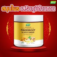 ASIS FINGERROOT &amp; GOLD GINGER เครื่องดื่ม กระชายขาว ขิง พลูคาว