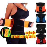 BOUND （in stock）สายรัดเอวคอร์เซ็ต กระชับสัดส่วน สำหรับผู้หญิง Y7166