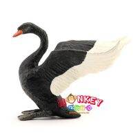 Monkey Toys - โมเดลสัตว์ Swan หงส์ ดำ ขนาด 12.00 CM (จากหาดใหญ่)