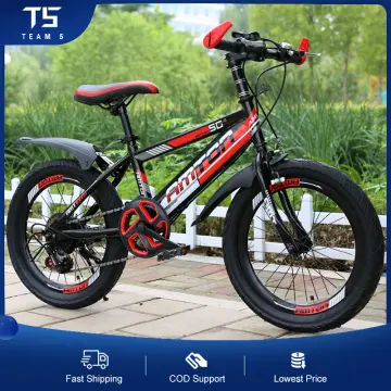 Lazada mountain outlet bike sale