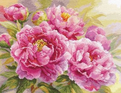 【CC】 Gold Collection Counted Pink Peonies Flowers alisa 50x40cm 14CT