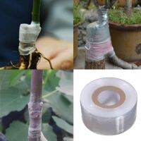 【hot】 Eco-friendly PE Grafting Tape 30MMx120M Garden Seedlings Supplies Self-adhesive Stretchable