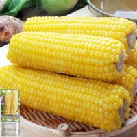 waxy sticky corn thin skin glutinous sweet vegetable free shipping