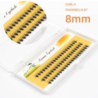 Grafting World 60 pcs Natural 3D Eyelash Extension Russian Volume Mink Eyelashes Individual 20D Cluster Lashes Makeup Cilia