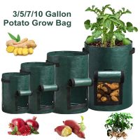 【LZ】 3/5/7/10 Gallon Plant Growing Bags PE Vegetable Grow Bags with Handle Thickened Growing Bag Potato Onion Bag Outdoor Garden Pots