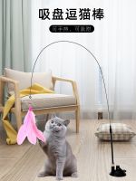 ♂₪❒ Powerful suction cat teasing rod long steel wire kitten self-healing anti-boring artifact toy bite-resistant feather replacement head