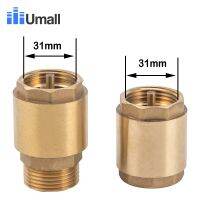 New 1 inch Check Valve Brass Thread In-Line Spring Prevent backflow Connector for Water pump