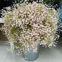 [ดอกไม้ประดิษฐ์ร้อน688] Flores Artificales De 108 Cabezas Rama De Gypsophila Bonsái De Boda Decoración De Fiesta En Casa Accesorios Para Fotos ฟลอเรสเดอ Falsas