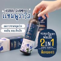 แชมพูวาริส 2in1 Herbal Shampoo