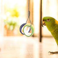 Zecetim 10pcs Bird Chew ของเล่นนกแก้ว Chew ของเล่นกระดาษแข็งที่มีสีสัน Foraging Toy ของเล่นฝึกเท้า