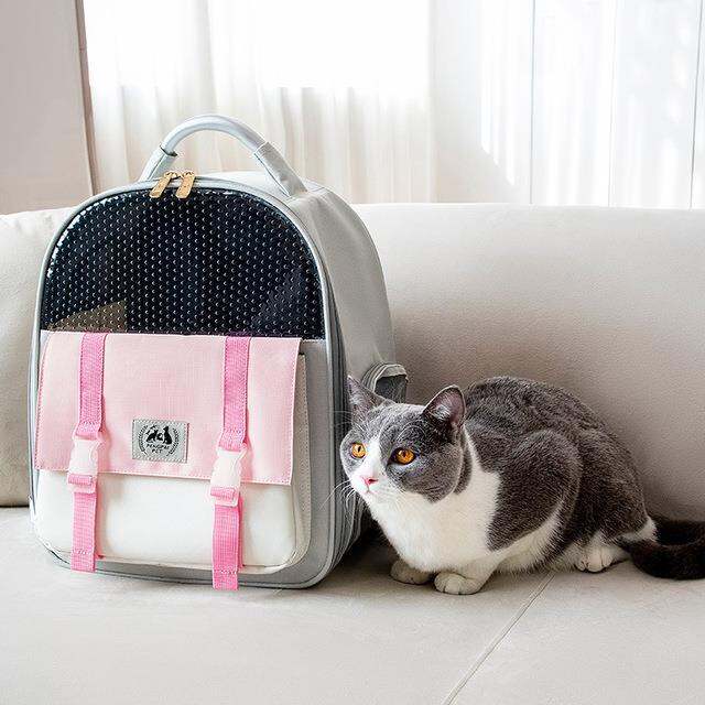 pet-trolley-case-transparent-cat-bag-out-portable-large-capacity-space-capsule-dog-cat-backpack-portable-suitcase-cat-carrier