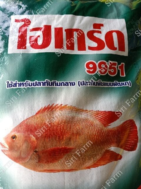 ไฮเกรดปลาทับทิม9951-9951เทอโบ-ปลากินพืช-แท้100-แพ็ค1กก