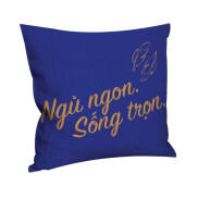 Quà tặng Gối tựa Goodnight Vua Nệm kích thước 45x45cm mềm mại êm ái phân