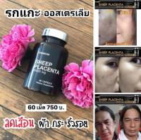 SK รกแกะแบบกระปุก 60 เม็ด ราคาสุดคุ้ม รกแกะออสเตรเลีย รกแกะ60000 mg รกแกะแท้นำเข้า เกรดฟามาซูติคอล คอลลาเจนผิวขาว คอลาเจน collagen ส่งฟรี