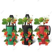 3 Gal 12 Holes Strawberry Grow Pot Bags Plants Flower Tomato Growing Garden Wall Hanging Vegetable Root Planting Her WB15TH