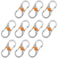 ✙❃✗ S Shape Mini Carabiner with Lock Keychain Spring Clip Keychain Ring Clip Stainless Steel Buckle for Outdoor Hiking Traveling