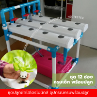 ชุดปลูกผัก ไฮโดรโปนิกส์ 42ช่อง, 12ช่องปลูก ขายดีสุด มีผักกินทุกวัน มีคู่มือบอกละเอียด ประกอบง่าย Home hydroponics system. #Easy to assemble system. ส่งฟรี