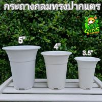 กระถางกลมหนา‼️ทรงสูงปากแตร สีขาว3.5/4/5