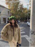 ✷☼✥ pant40ghdd9h Importado Rex Fur Coat Short V-Neck Keep Warm Versão da moda coreana simples pendulares Outono Inverno Novo 2023