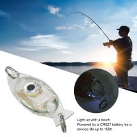 [tr6y54piy] Deep Drop Fishing Light LED ไฟตกปลาใต้น้ำกันน้ำสำหรับเหยื่อตกปลากลางคืน