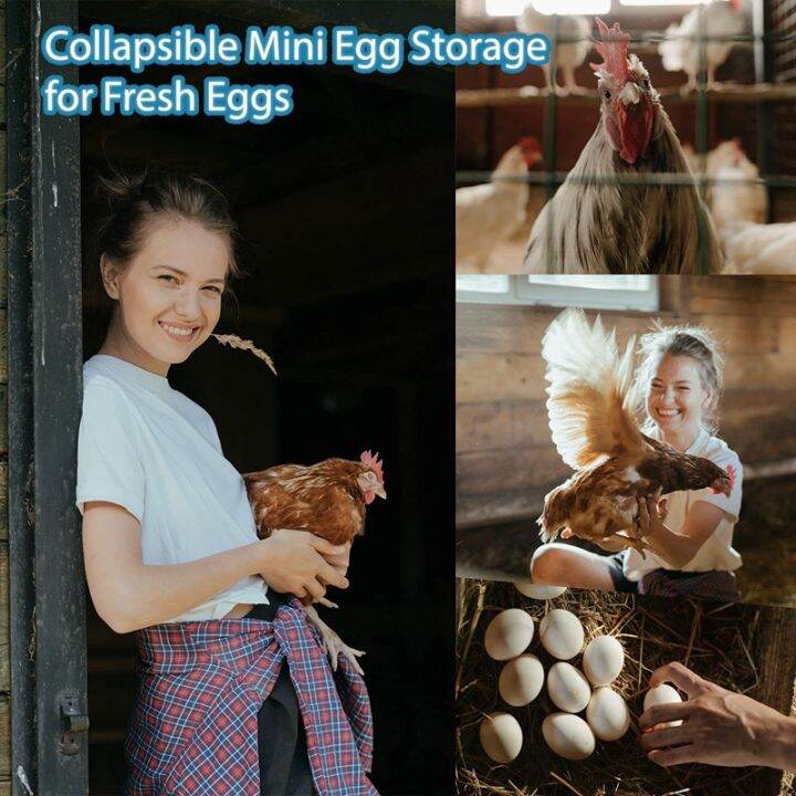 egg-basket-collapsible-mini-egg-storage-for-fresh-eggs-can-easily-load-eggs-for-carrying-and-collecting-eggs