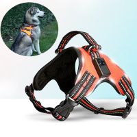 Rechargeable LED Harness for Pets Dog Tailup Nylon Led Flashing Light Dog Harness Collar Pet Safety Leash Belt Dog Accessories Collars