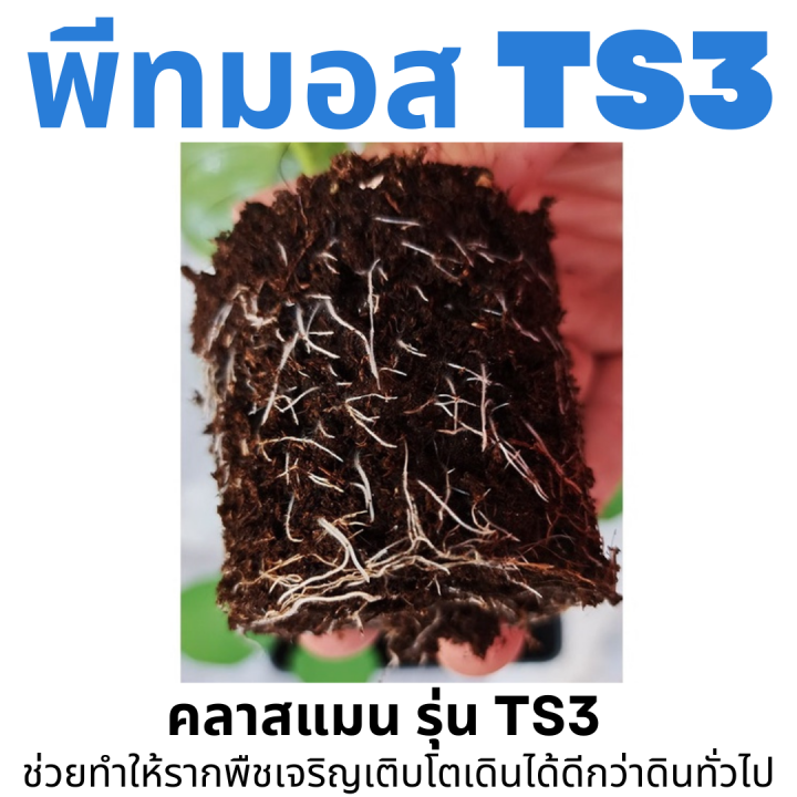 พีทมอส-คลาสแมน-ts3-ใช้เพาะกล้าพืช-ที่ต้องการความชื้นปานกลาง-ใช้ได้กับพืชทุกชนิด-มีปุ๋ยธาตุอาหารเพียงพอต่อกล้าอายุ-30-45-วัน-klasmann