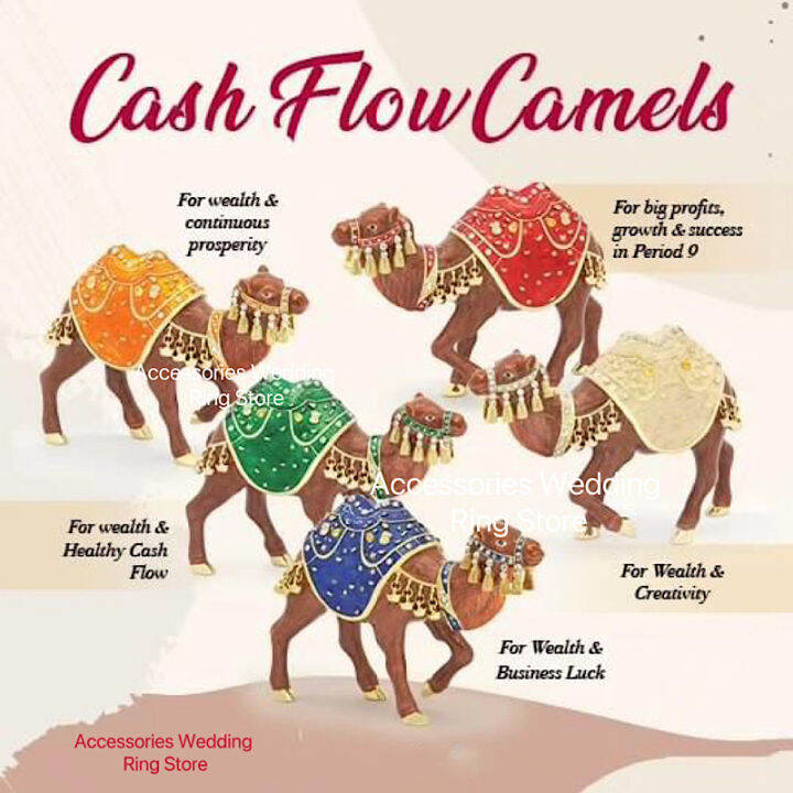 Fengshui 2024 Cash Flow Camels Cash Flow Camel Lazada PH   F87b9c6747cd9f2a2927c4b067dfba64  720x720q80 