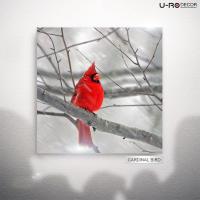 U-RO DECOR รุ่น CARDINAL BIRD ภาพพิมพ์ ขนาด 70 x 70 ซม. ยูโรเดคคอร์ ภาพแต่งบ้าน รูปภาพติดผนัง รูปภาพวิวธรรมชาติ รูปภาพพิมพ์กรอบลอย ภาพวิวสวยๆ ตกแต่งผนัง รูปภาพพร้อมแขวน Printing Picture,Wall Picture, Canvas Printings