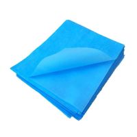 【Ready】? (Jingweikang) Medical Disposable Medium Single Beauty Salon Bed Sheet Nursing Pad Waterproof Oil Massage Gynecological Examination Pad Sheet