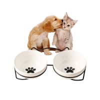 Cat Lift Bowl with Cat Litter Mat Round Pet Metal Elevated Water Feeder Kitten Ceramic Food Feeding Raised Dish Puppy Supplies