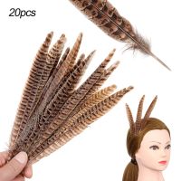 HWSJ Long Decoration DIY Home Tail Feathers Pheasant Feathers Craft