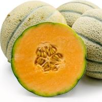 เมล็ดพันธุ์ เมล่อน ทัสคานี่ (Tuscany Melon Seed) บรรจุ 25 เมล็ด คุณภาพดี ราคาถูก ของแท้ 100%