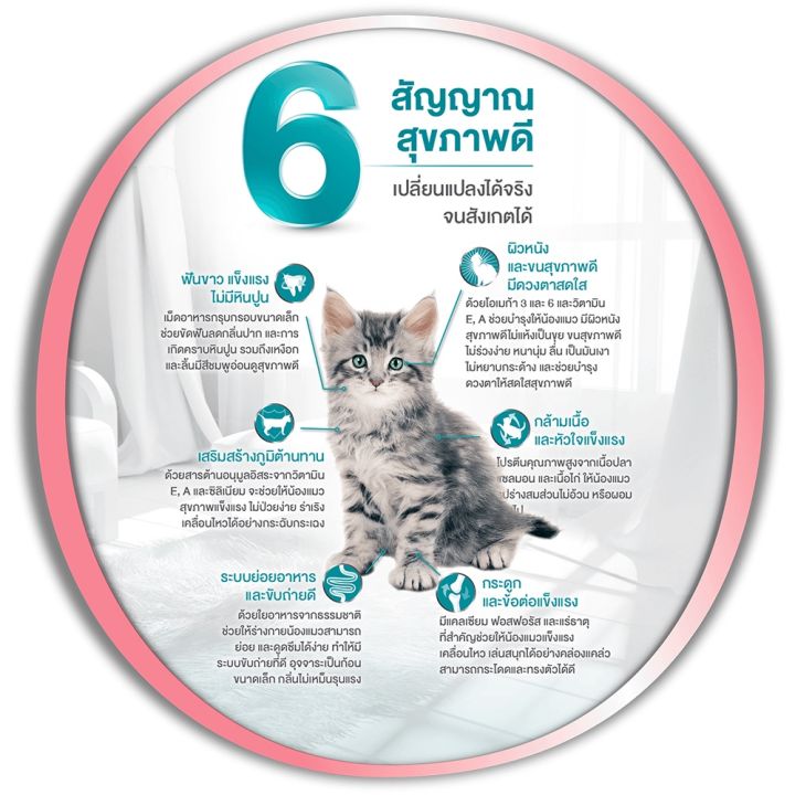 อาหารลูกแมว-purina-one-สำหรับลูกแมว-อายุ-3-สัปดาห์-1-ปี-ทุกสายพันธุ์-1-3กก-1-ถุง-purina-one-healthy-kitten-food-for-3weeks-1yr-old-1-3kg-1-bag