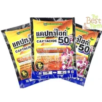 ( Promotion+++) คุ้มที่สุด ยากันราแคปแทน (Captan - Captacide 50) สำหรับป้องกันราศัตรูพืช ราสนิม ราน้ำค้าง ราในเพชร ไม้อวบน้ำ แคคตัส ไม้ประดับ ราคาดี พรรณ ไม้ น้ำ พรรณ ไม้ ทุก ชนิด พรรณ ไม้ น้ำ สวยงาม พรรณ ไม้ มงคล