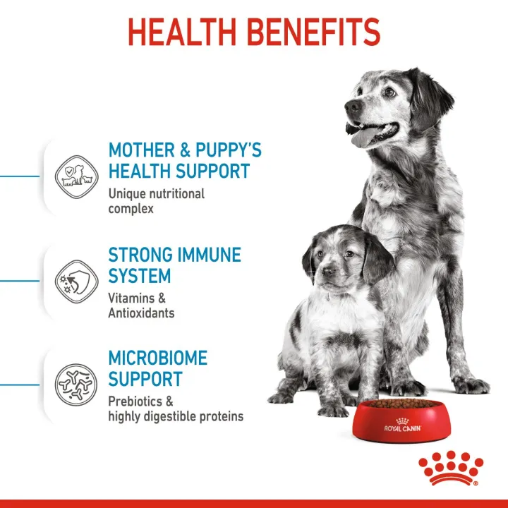 royal-canin-medium-starter-1-kg-อาหารแม่สุนัข-และลูกสุนัขพันธุ์กลาง-ชนิดเม็ด