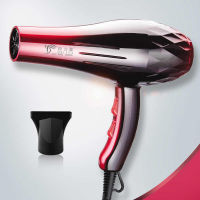 ไดร์เป่าผม DELIYA 8080 2200W Hair dryer(ปรับความร้อน&amp;แรงลมได้) ไดร์เป่าผม เป่าผม ไดเป่าผม ไดรเป่าผม พกพา เครื่องเป่าผม DLY ไดร์เป่าผม ร้อนเร็ว ลมแรง รุ่น DLY- 8080