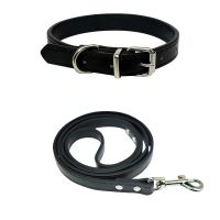 Small Dog Leash PVC Waterproof Lead Rope Cat Leash Puppy Neck Leash Dropship York Shih tzu Pomeranian Chihuahua Dog Accessories