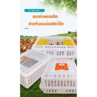 กล่องใส่ลูกไก่ ลูกเป็ด กล่องสำหรับขนส่งไก่ เป็ด ห่าน ตะกร้าพลาสติกขนย้ายสัตว์ปีก