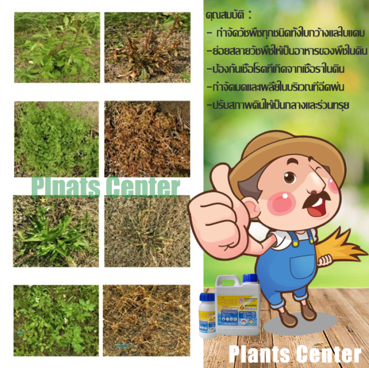 plants-center-พร้อมส่ง-ผลิตภัณฑ์กำจัดวัชพืช-สูตรเผาไหม้-กำจัดหญ้า-ไร้สารเคมี-กำจัดหญ้าใบแคบ-กำจัดหญ้าใบกว้าง-หญ้าข้าวนก-หญ้ากระดูกไก่